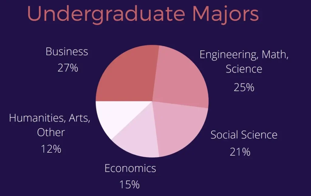 nyu stern mba class of 2024 undergraduate major